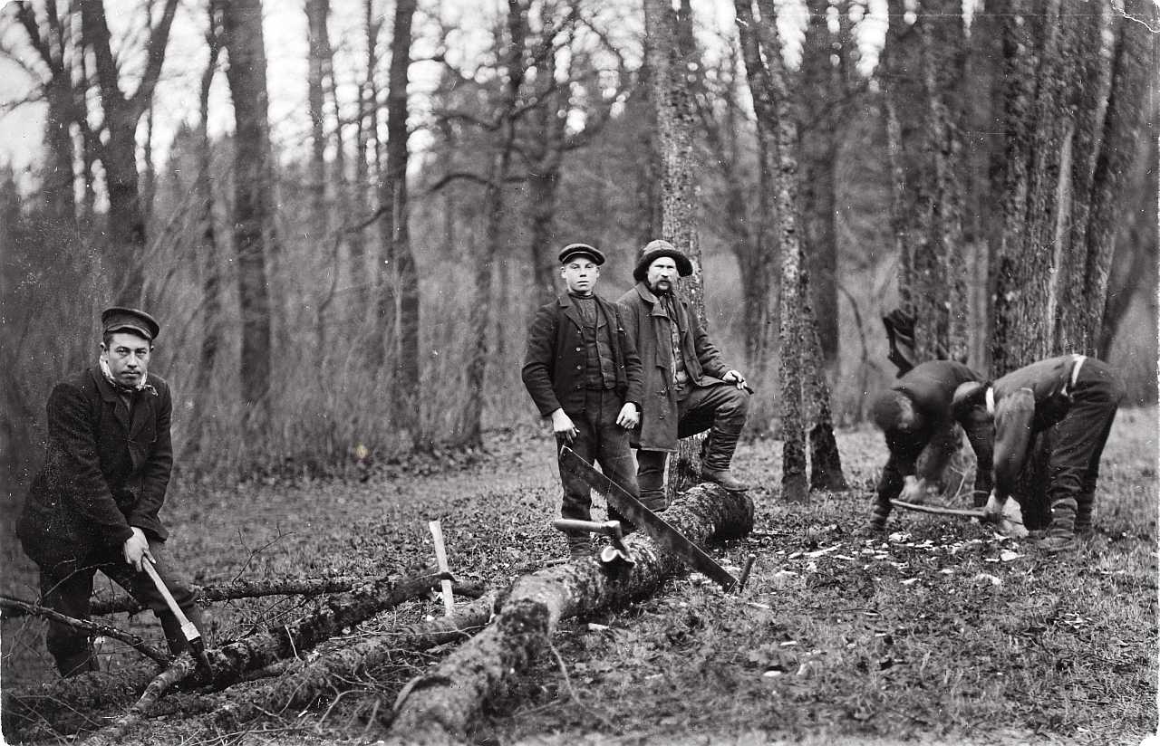 Лесозаготовки лесорубы 19 века